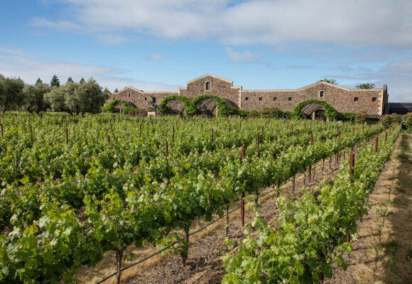 Black Stallion Estate Winery